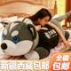 新疆西藏 包邮 哈士奇公仔毛绒玩具狗玩偶女生抱枕睡觉