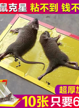 Mouse Trap sticker strong rat killerr board mousew sticker