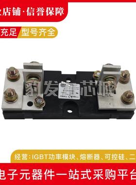 170H3003 170H3004 170H3005 170H3006 170H1007 170H1013熔断器