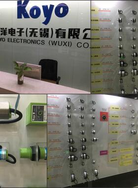 KOYO光洋PLC控制系统D2-16TD2单元D2-16ND3-2扩展模块D2-16TD1-2