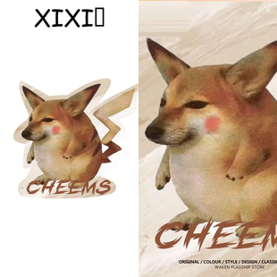 XIXI口 diy定制抱枕卡皮狗表情包枕头异形搞怪皮卡丘玩偶靠垫礼物