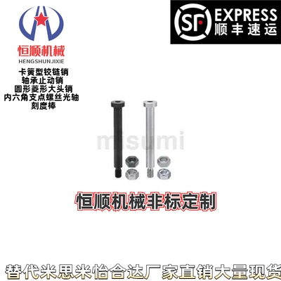 GB12786.5-92304不锈钢销轴