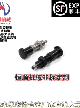 ZAE16-M10/51-M12/56-M16/61-66分度销zam52/01/02/11/12/42/31