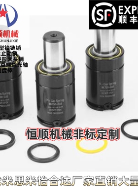 GSV1000/1200/1500-10/13/16/19/25/32/38/50/63/75/80/100/125