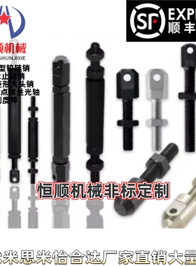 CBS2-35/40/50/60/80/100-L-SUS连接杆链条螺栓