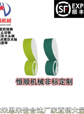 EMS01/02/03/04/05/0/07/08/09-W10/20/30/50平皮带进口型普通用