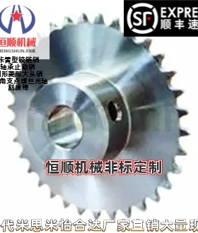 DLS11B20/24/28/30/34/36-P-8/10 DLS11B20/24/28/34链轮11不锈钢