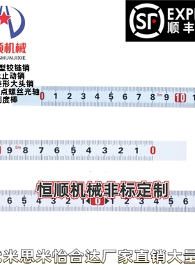 TMEL TMELF TMEPL TMEPN TMEPR TMER TMERF-1000/2000刻度带