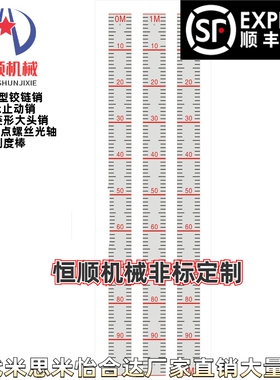 BLR01/02/06/11/12/15/16-L100 L200 L300 L600刻度标尺替