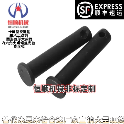 HCLGN3 4 5 6-10 12 14 15 16 18 20 22 24 25 30开口带肩铰链销
