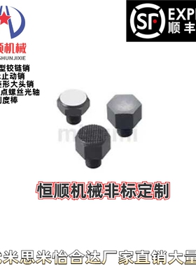 BJ811-08010/12015/16015/16020-F/RS止动螺栓