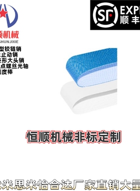 EMS41/42/43/44/45/46-W10~1200-L0.5~20平皮带 进口型 食品用
