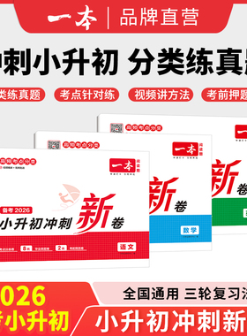 一本小升初冲刺分类新卷三步分类练真题小升初总复习分类试卷小升初真题新卷语文数学英语名校冲刺历年真题试卷六年级小升初总复习