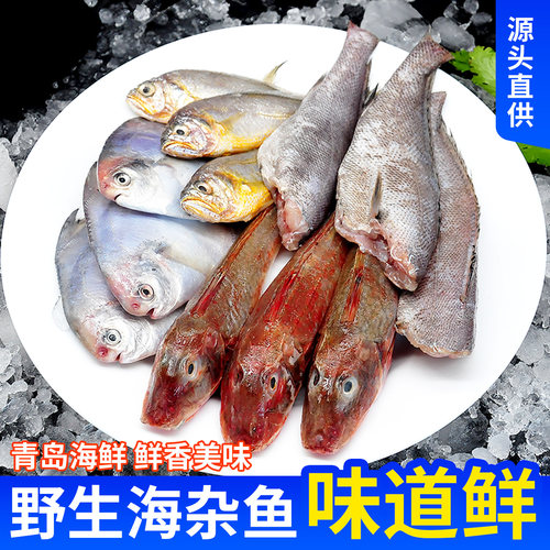净3净青岛海捕海鲜小杂鱼少刺