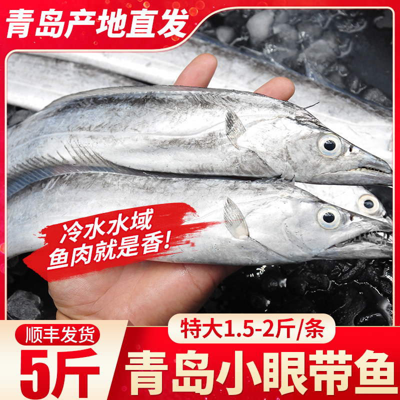 净5斤2-3条/斤新货青岛小眼带鱼