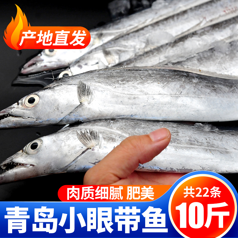 整箱10斤青岛海捕特大小眼带鱼
