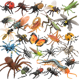 仿真昆虫玩具模型玛奇乐凤尾蝶蟑螂蝉七星瓢虫蜘蛛儿童动物认知