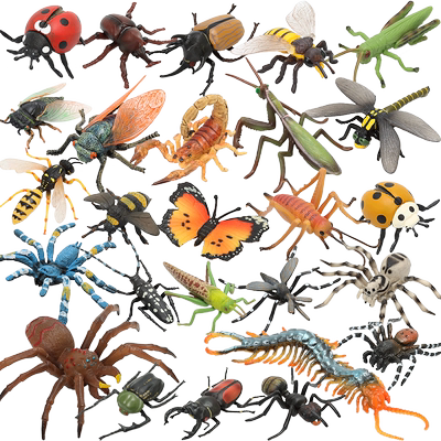 玛奇乐仿真昆虫玩具模型