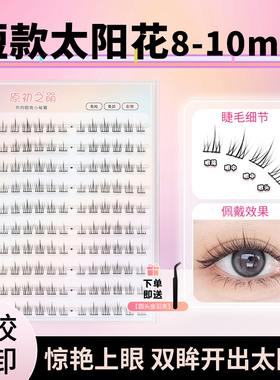 8-9-10mm短款免胶水太阳花假睫毛女超自然仿真自粘日常单簇分段式