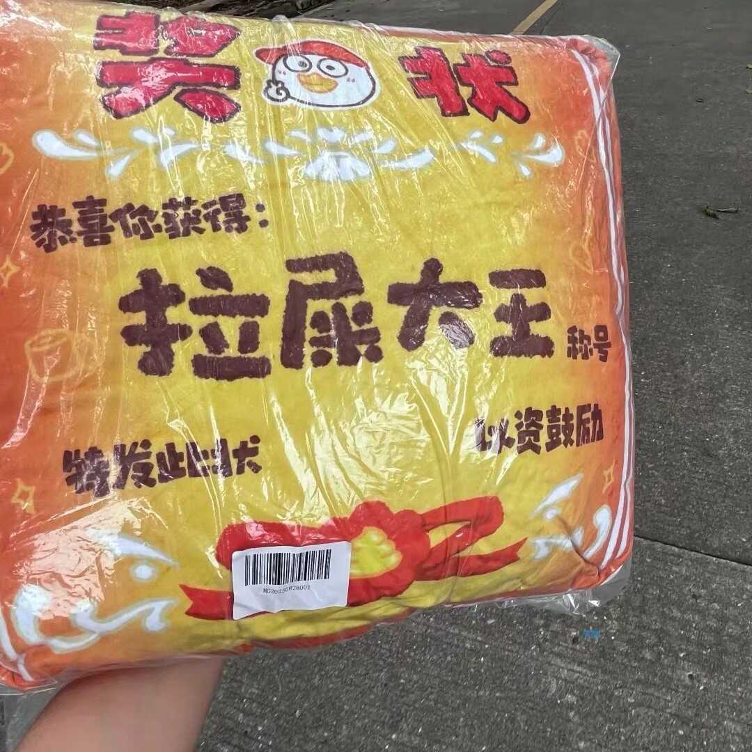【小红书同款】创意抱枕拉屎大王奖状抱枕高颜值搞笑礼物搞怪可爱