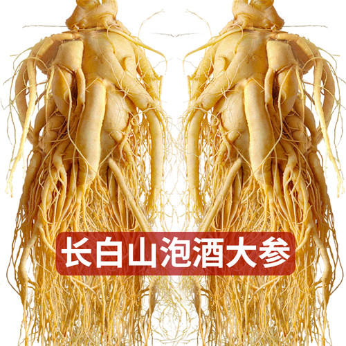 长白山人参正宗东北特产大参泡酒煲汤药材吉林产地发货滋补养生用