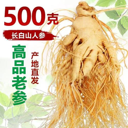 人参泡酒煲汤滋补品新鲜
