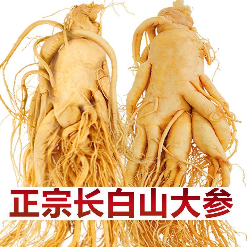 东北长白山人参 正宗鲜人参泡酒煲汤滋补吉林产地发货大人参