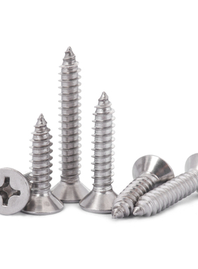 304不锈钢国标GB846平头自攻螺丝十字加长木牙螺钉M4.2M5.5M6.3M8