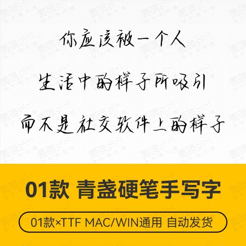 Procreate/Win/GoodNotes/Mac通用 青盏硬笔手写中文简体字体设计