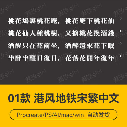Procreate/Win/GoodNotes/Mac   港风地铁宋体繁体中文字体安装包
