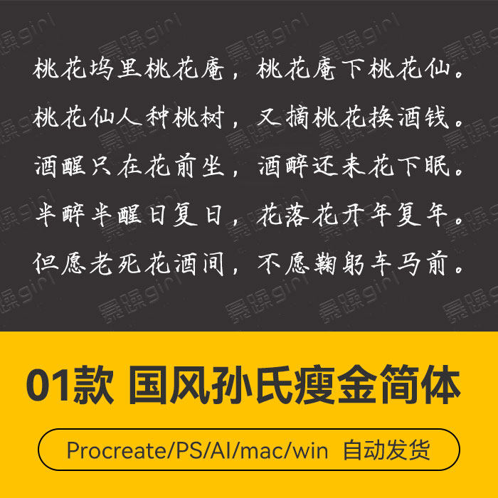Procreate/Win/GoodNotes/Mac       国风孙氏瘦金简体字体安装包
