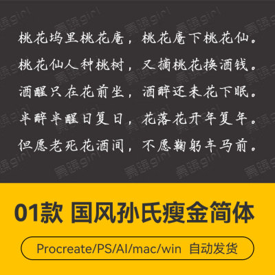 Procreate/Win/GoodNotes/Mac       国风孙氏瘦金简体字体安装包