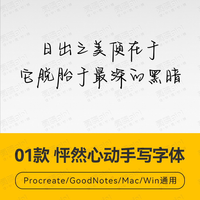 procreate/win/goodnotes/mac用 怦然心动手写字体安装包自动发货