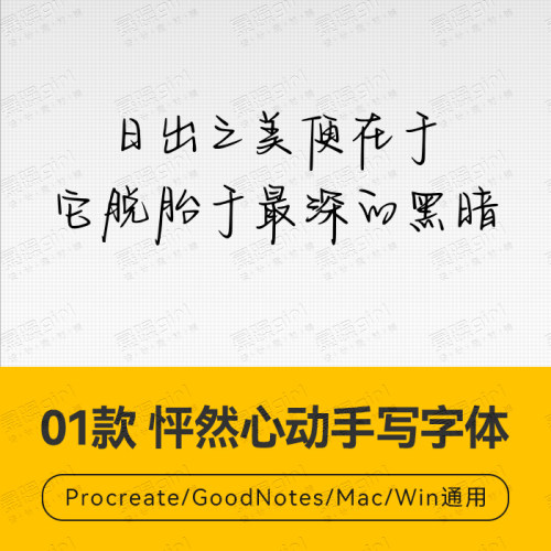 Procreate/Win/GoodNotes/Mac用 怦然心动手写字体安装包自动发货