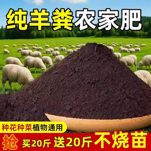 羊粪种菜种花发酵有机肥腐熟羊粪肥有机肥料蔬菜专用羊粪无异味