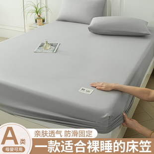 通用三件套床垫保护套床套3 纯棉A类床笠单件100%全棉加厚床罩四季