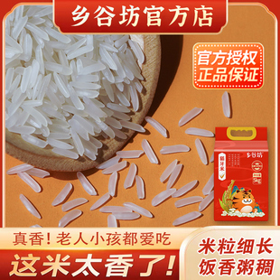 新米5kg煲仔饭专用丝苗米 正宗猫牙米大米5斤10斤长粒香真空装 当季