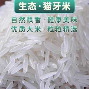 10斤长粒香米新米正宗晚稻猫牙米煲仔饭蛋炒饭丝苗米煮饭5kg大米
