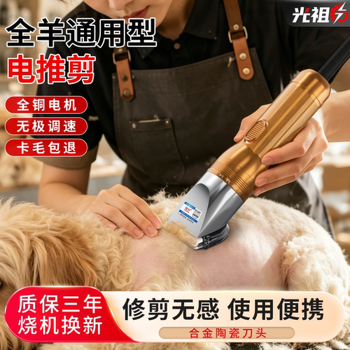 220V羊毛电推剪大型犬狗狗