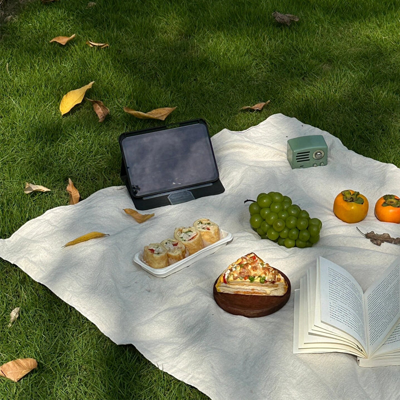春游垫子野餐垫ins风户外露营装备野炊加厚地垫拍照装饰用品桌布