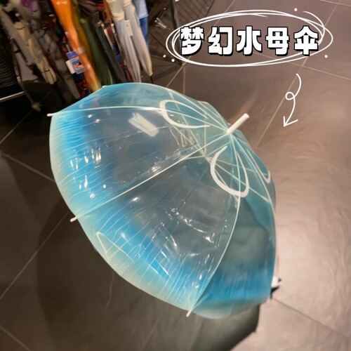 水母伞雨伞女生高颜值手动ins小众长柄雨伞夏学生上学专用透明伞