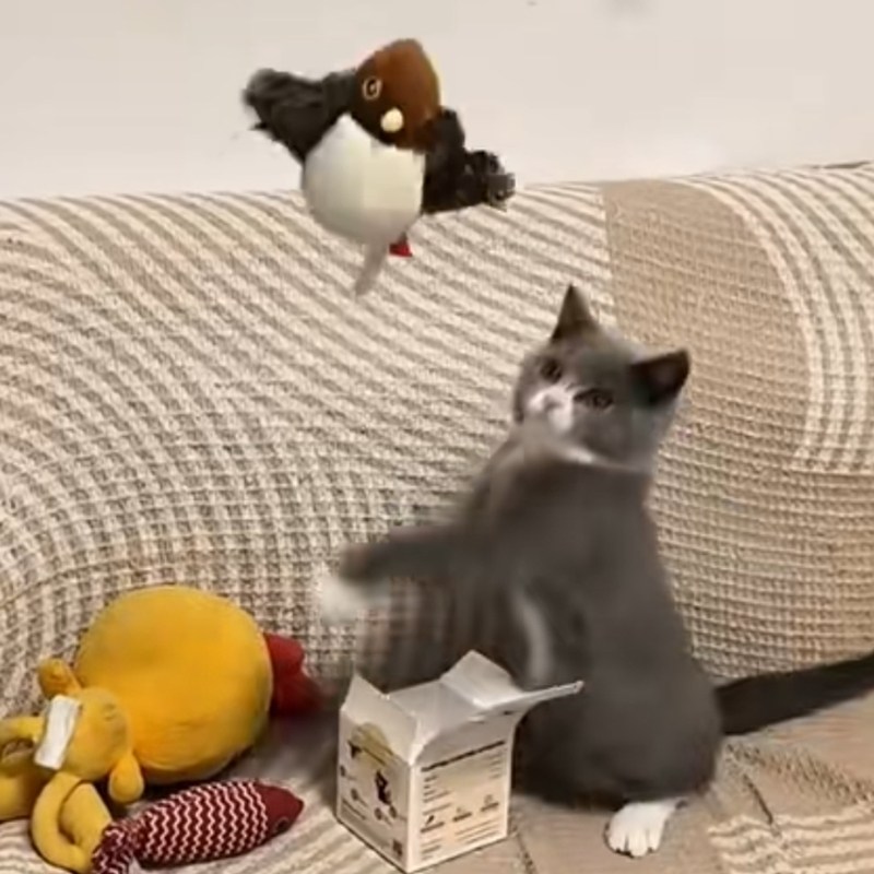 会飞的小鸟猫咪玩具电动逗猫仿真鸟发声神器拉绳会叫猫玩具