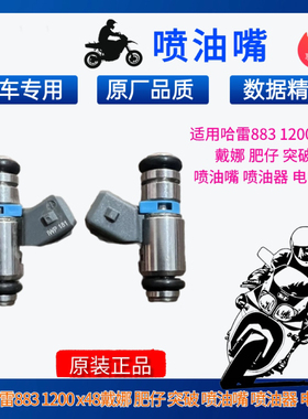 适用哈雷XL883 XL1200 R/C/N/L X48 72喷油嘴 4孔喷油嘴IWP181