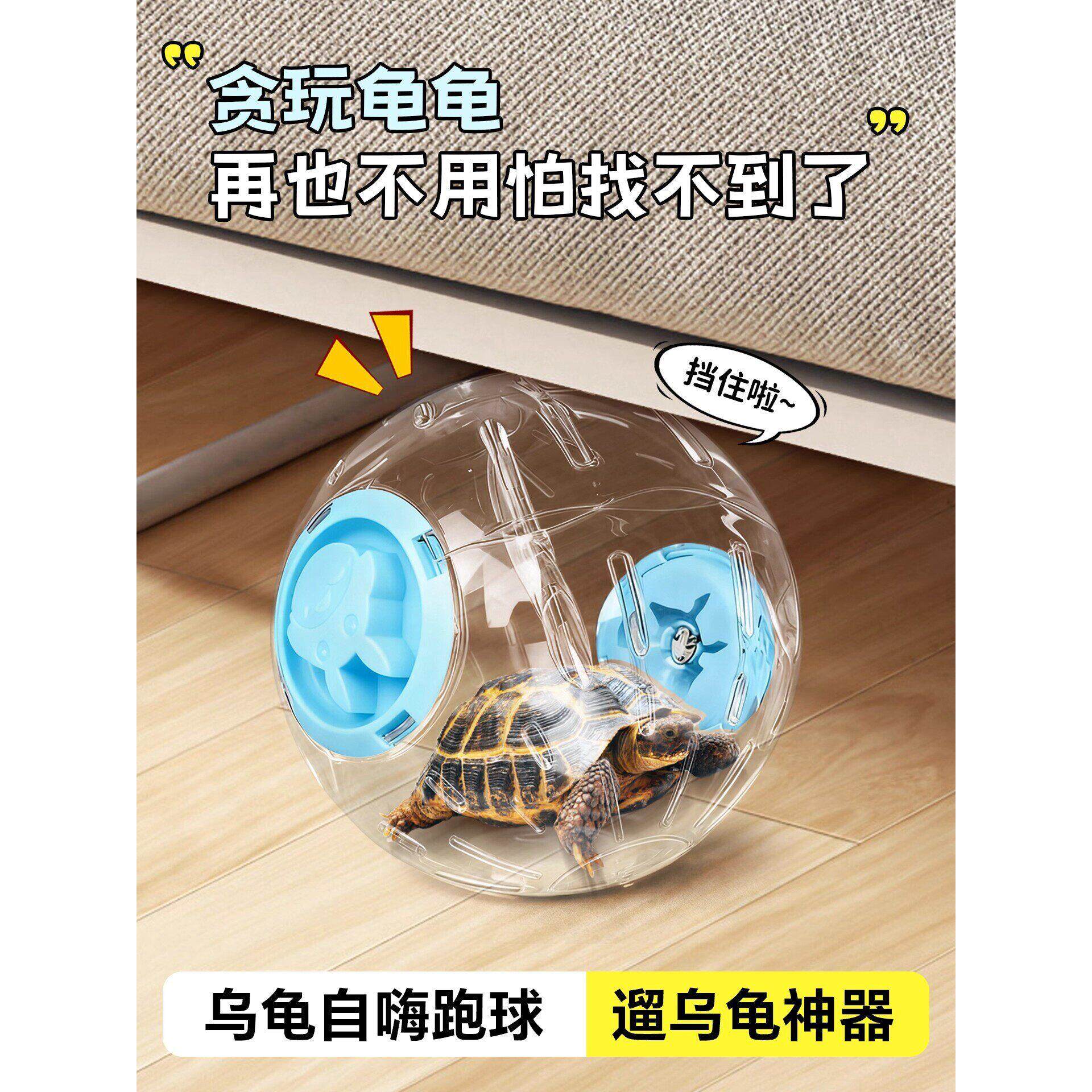 乌龟跑球玩具遛龟爬宠互动逗龟自嗨球巴西龟草龟外带笼子滚球