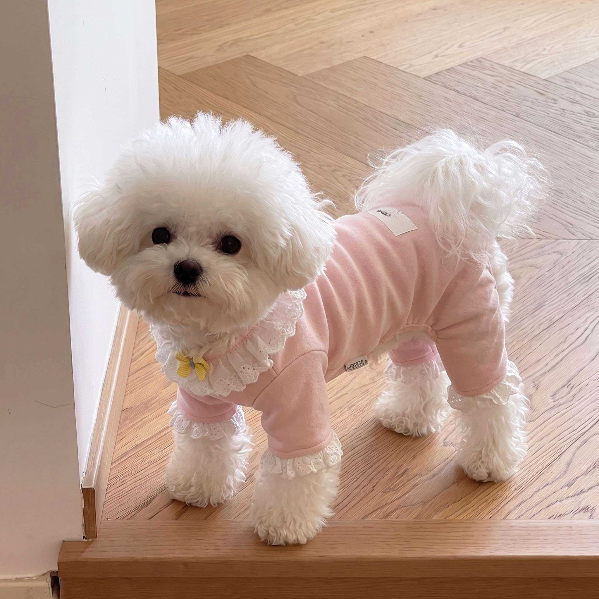 宠物衣服狗狗四脚衣小型犬比熊泰迪秋冬猫咪家居服2026新款睡衣