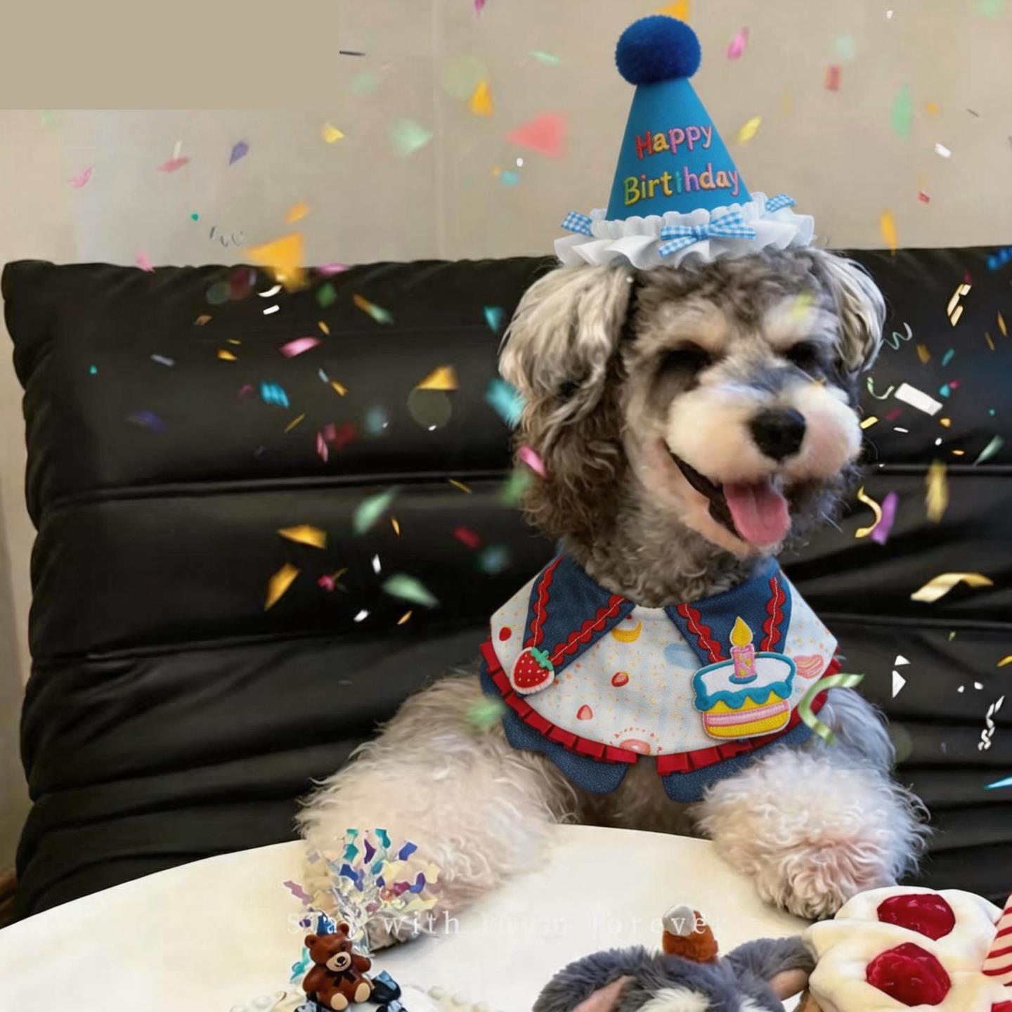 宠物狗狗生日装扮围脖帽子套装猫咪西高地口水巾围兜拍照装饰道具