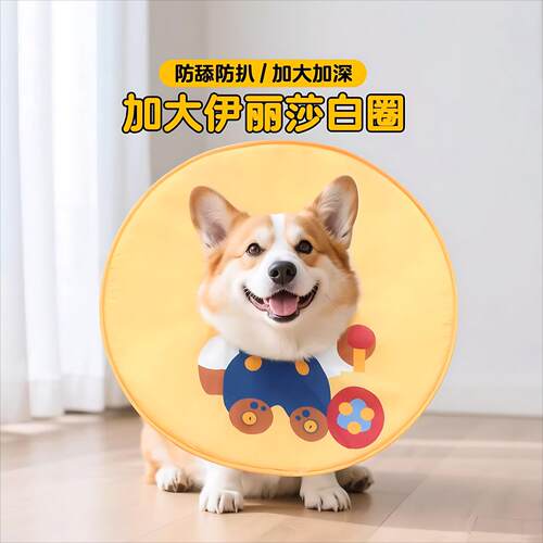 宠物伊丽莎白圈狗猫圈狗狗防舔神器软头套柯基猫咪小狗脖圈加深款