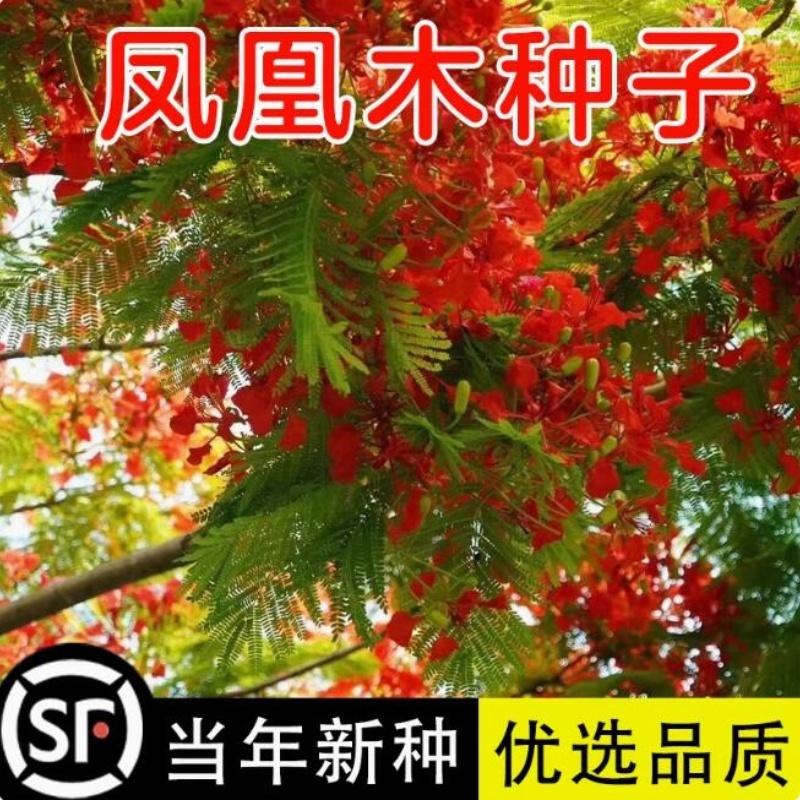 潮流精品,品质保证