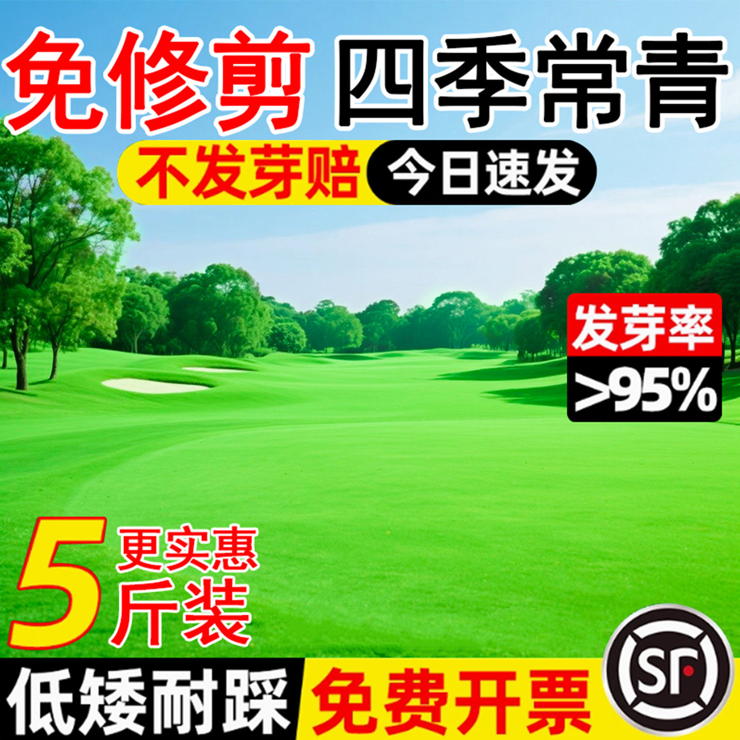 草坪草籽免修剪地毯草皮种籽四季常青护坡狗牙根高羊茅黑麦草种子