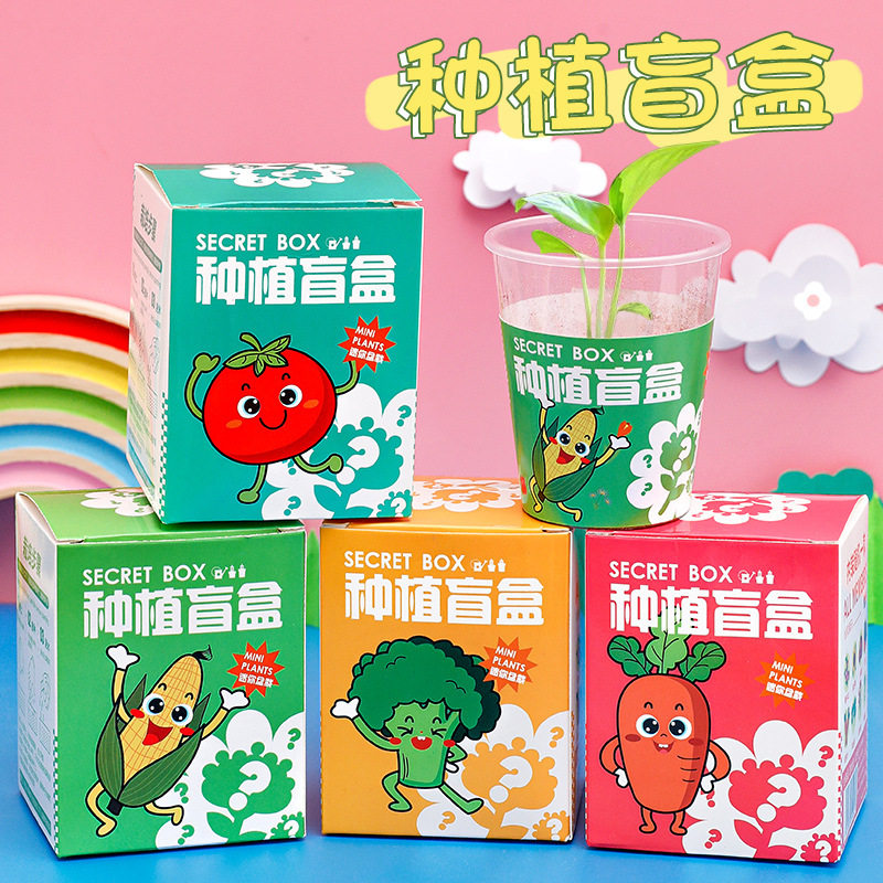 幼儿园种植盆栽盲盒 儿童植物花卉种子小礼品创意桌面摆件小盆栽图片